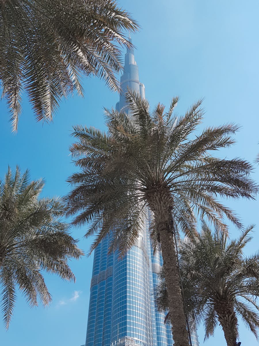 Burj Khalifa rising majestically amidst palm trees under a clear blue sky in Dubai.